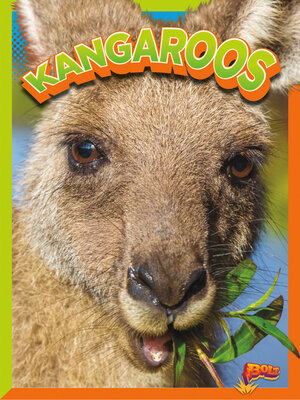 cover image of Kangaroos